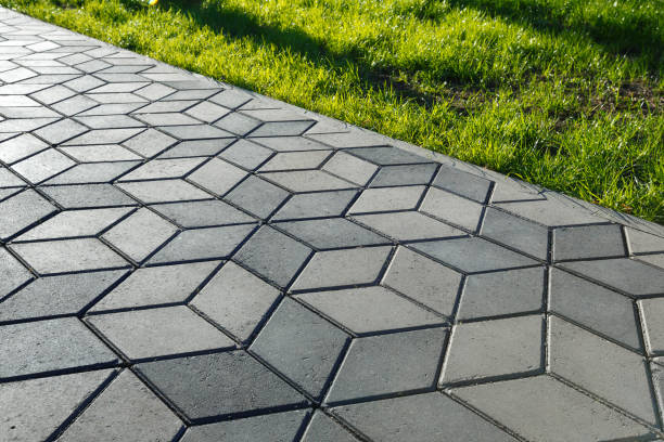 Best Professional Driveway Pavers  in Douglas, MI